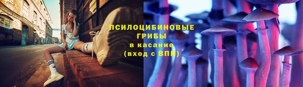 марки lsd Абаза