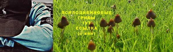 apvp Алексеевка