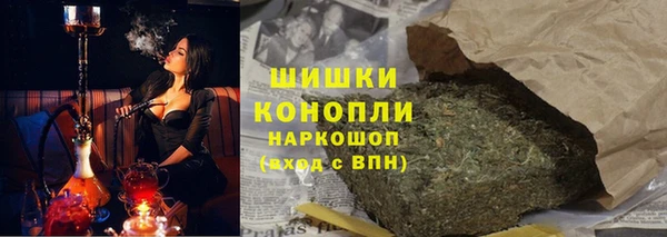 индика Абдулино