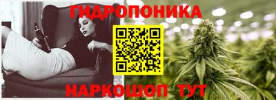 ПСИЛОЦИБИНОВЫЕ ГРИБЫ Нальчик