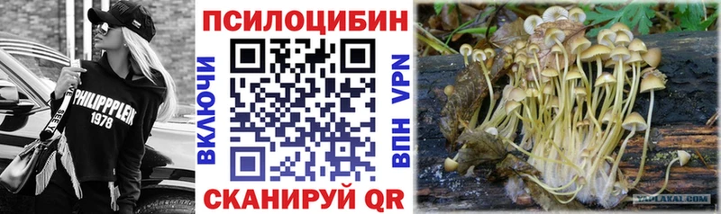 Галлюциногенные грибы мухоморы  Ялта 