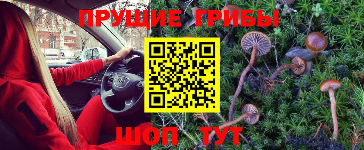Ялта  Галлюциногенные грибы MAGIC MUSHROOMS  магазин  наркотиков  Вход с VPN 