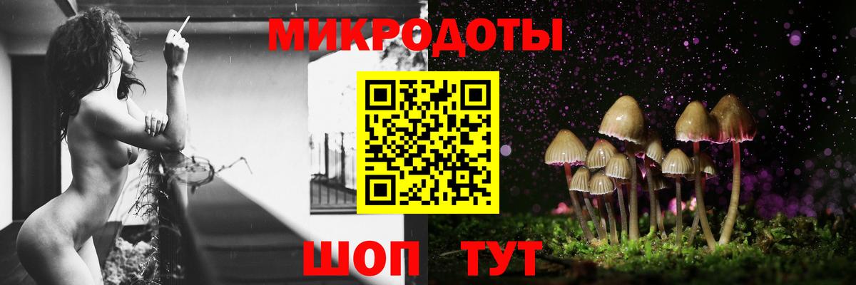 Галлюциногенные грибы Cubensis Ялта